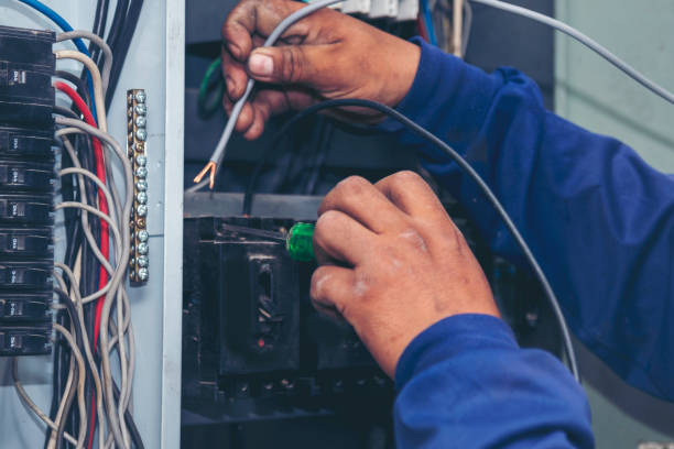 Best Electric Panel Repair  in Hamton, IL