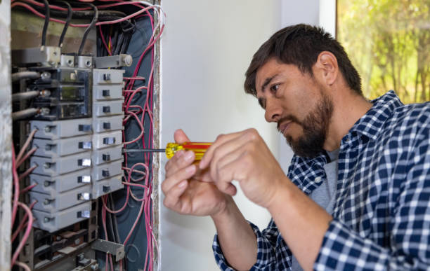Best Ceiling Fan Installation Electrician  in Hamton, IL